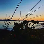 Curiazzi Viale La Pelosa 16 ستينتينو