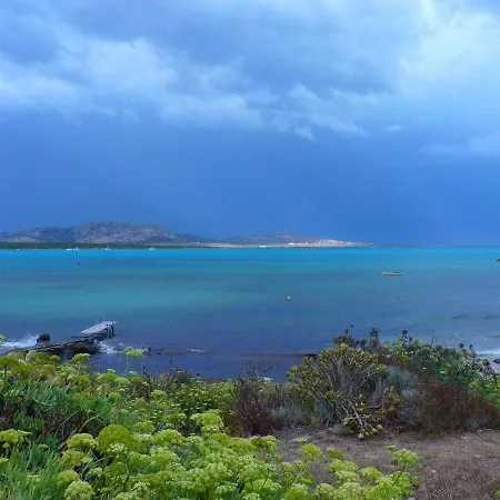 Curiazzi Viale La Pelosa 16 3* Stintino