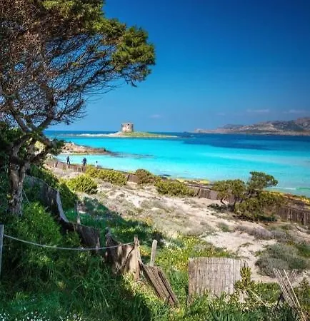 Curiazzi Viale La Pelosa 16 Stintino