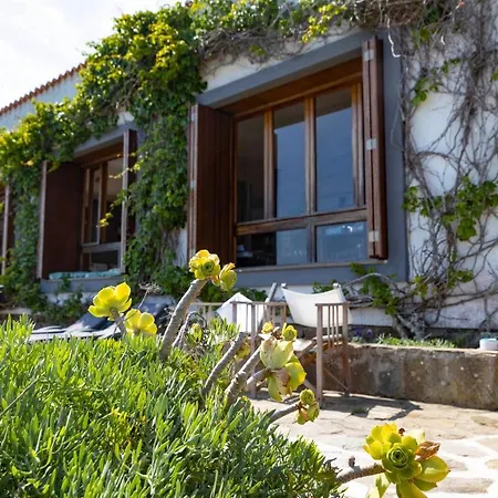 Curiazzi Viale La Pelosa 16 Πανσιόν Stintino